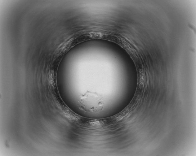 X0000096460616200802071835