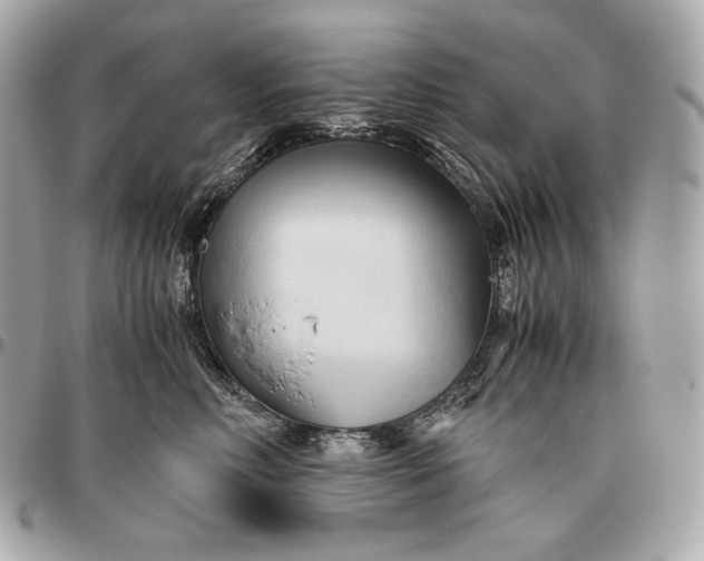 X0000096460618200802071835