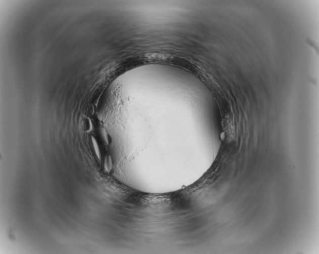 X0000096460619200802071835