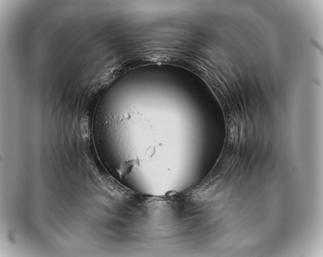 X0000096460620200802071835