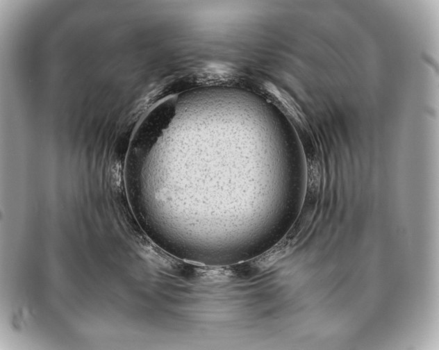 X0000096460621200802071835