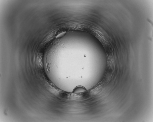 X0000096460622200802071835