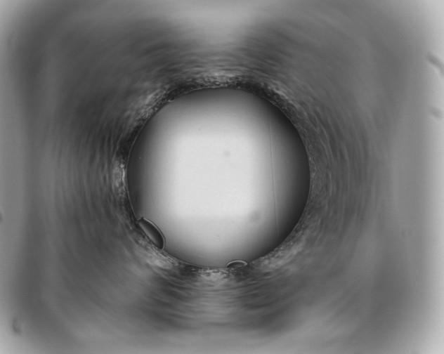 X0000096460624200802071835