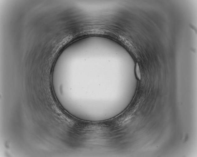 X0000096460625200802071834