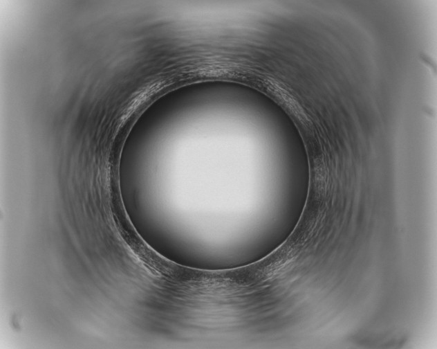 X0000096460626200802071834