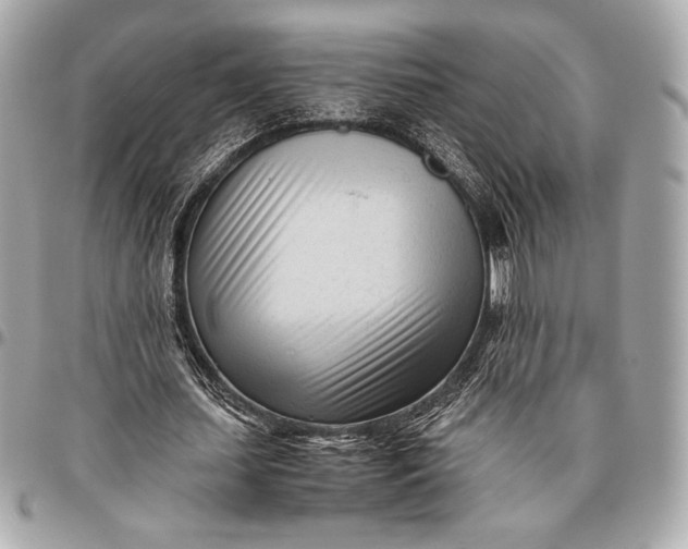 X0000096460627200802071834