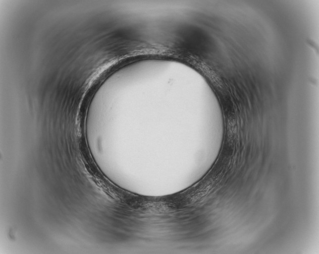 X0000096460628200802071834