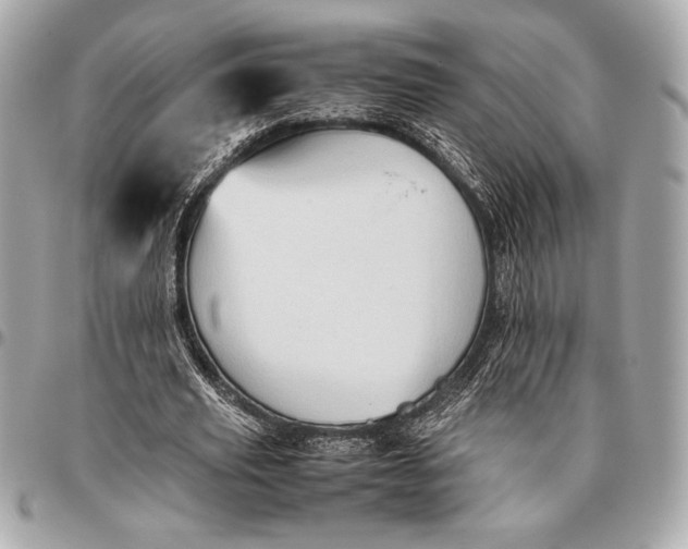 X0000096460629200802071834
