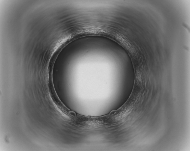 X0000096460630200802071834