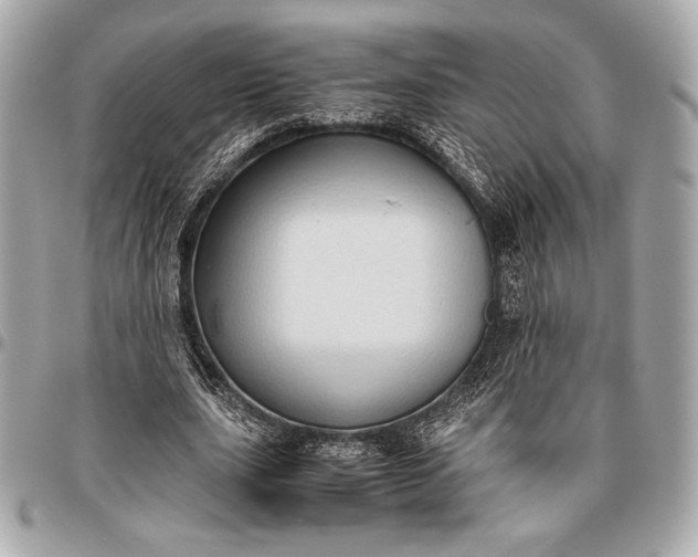 X0000096460631200802071834