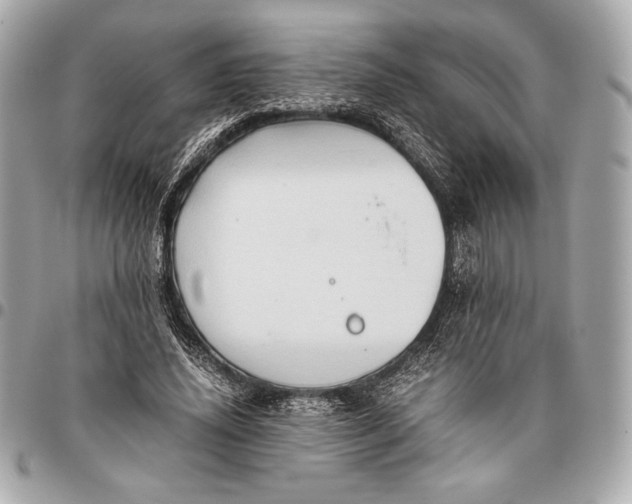 X0000096460636200802071834