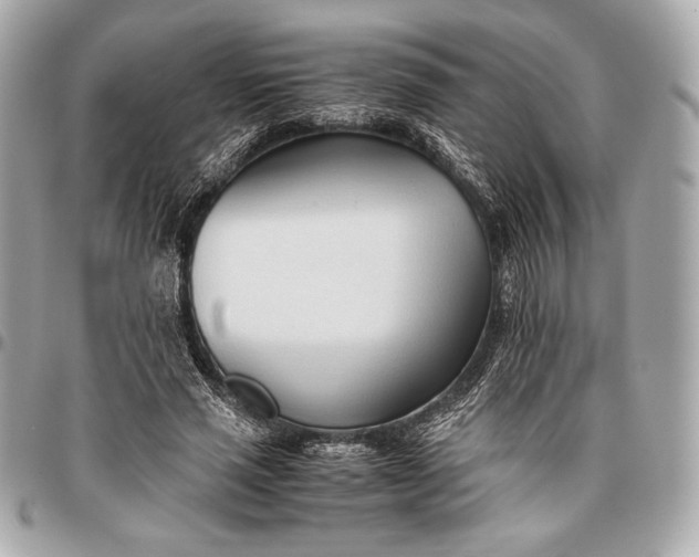 X0000096460637200802071834