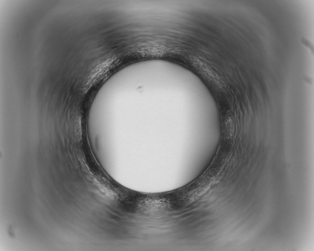 X0000096460638200802071834