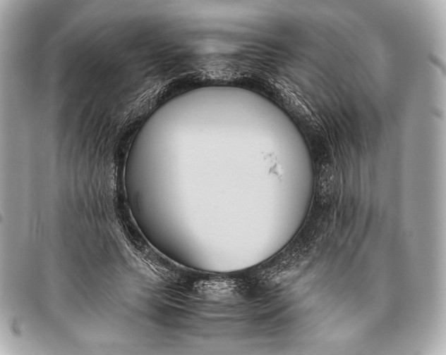 X0000096460639200802071834