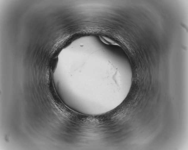 X0000096460640200802071834