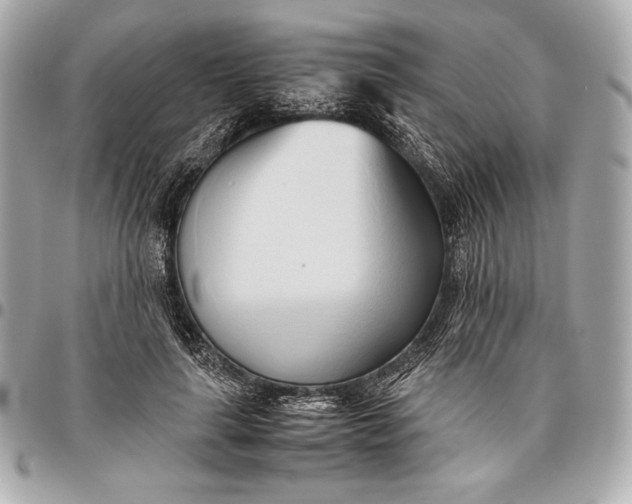 X0000096460643200802071834