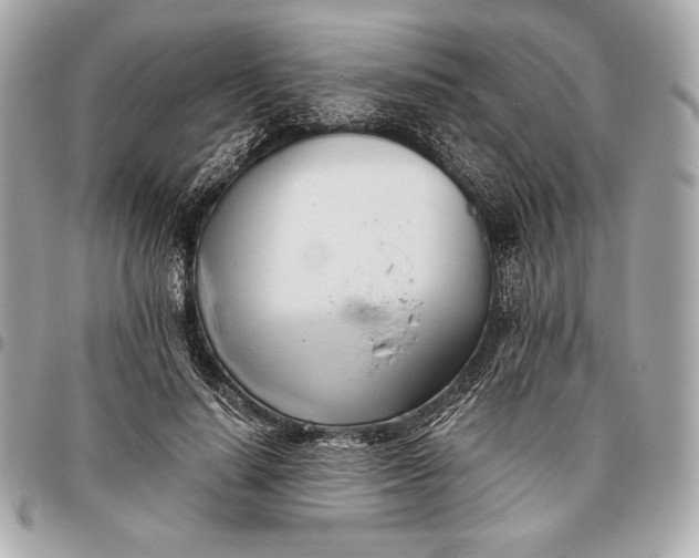 X0000096460644200802071834