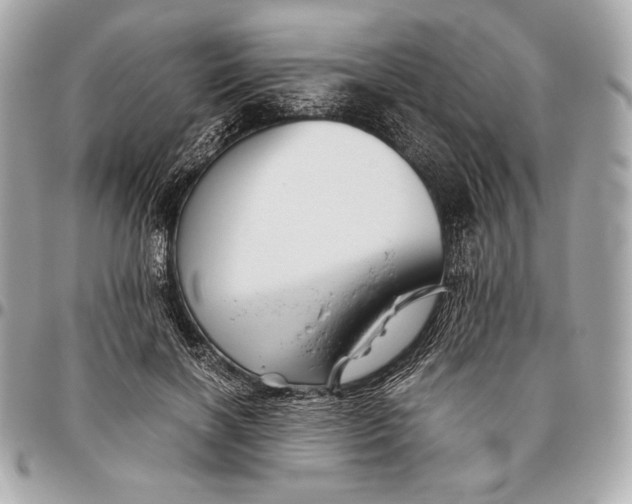 X0000096460646200802071834