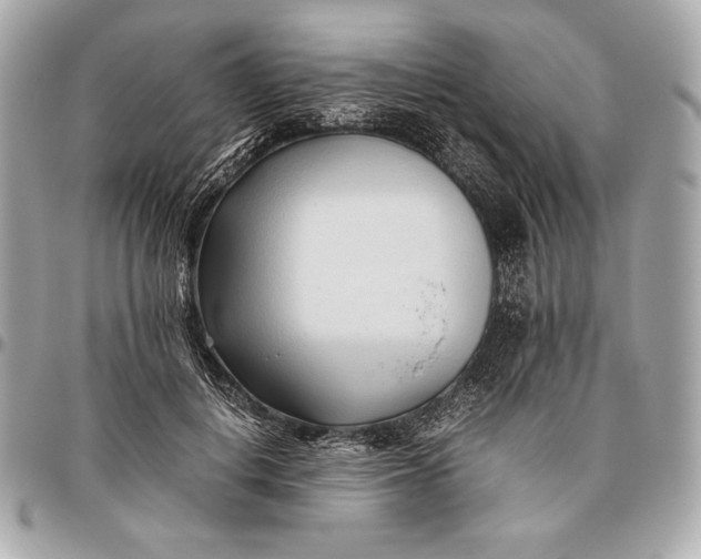 X0000096460648200802071834