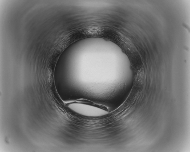 X0000096460651200802071835