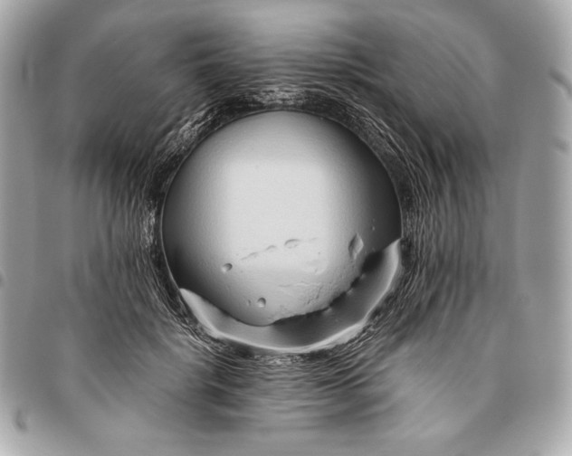 X0000096460652200802071835