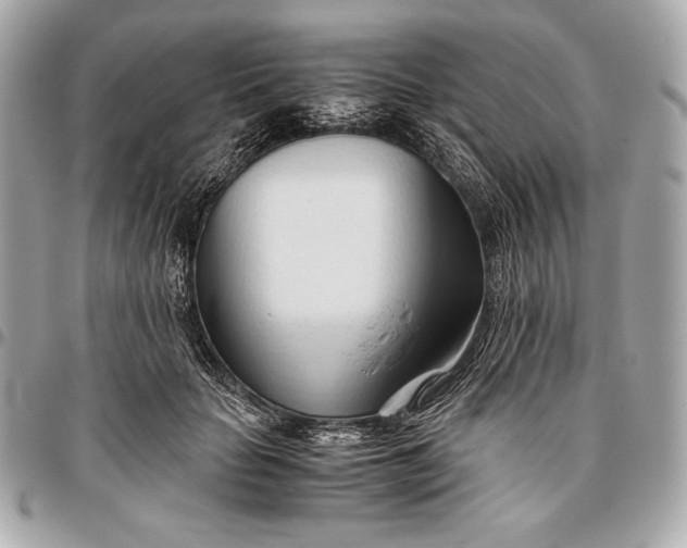 X0000096460653200802071835