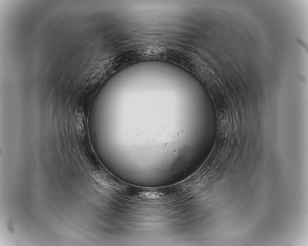 X0000096460654200802071835