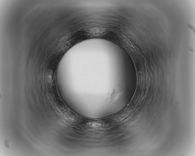 X0000096460655200802071835