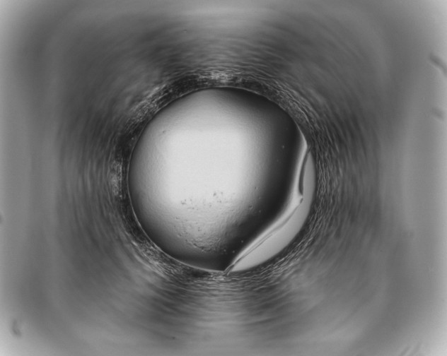 X0000096460656200802071835