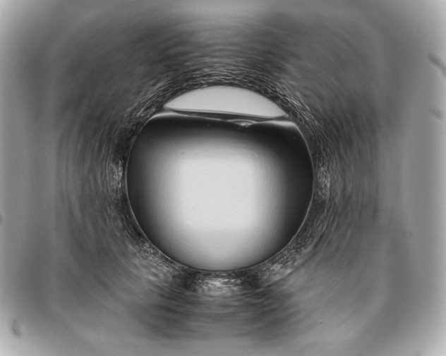 X0000096460657200802071835