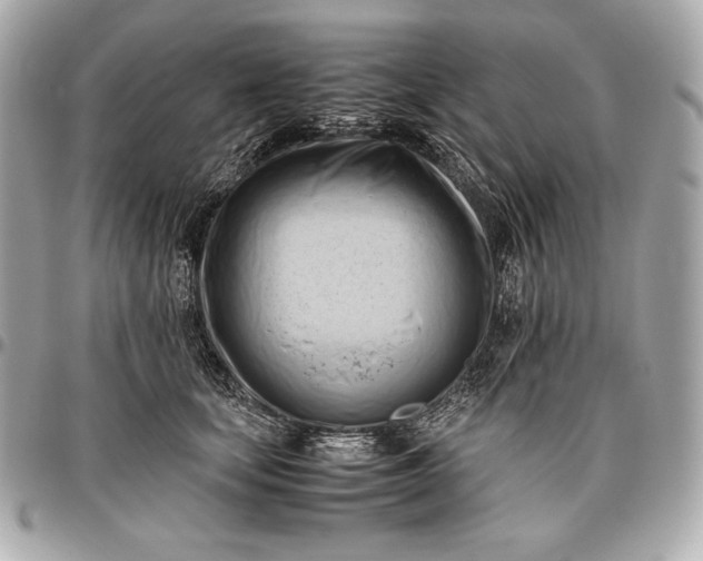X0000096460659200802071835