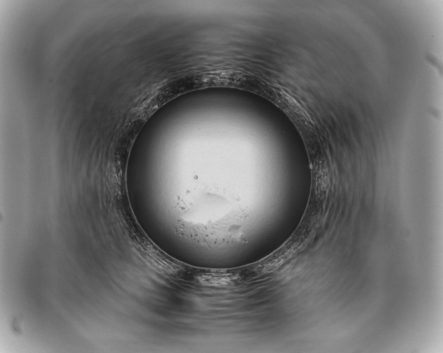 X0000096460661200802071835