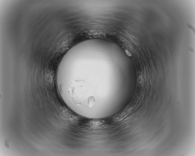 X0000096460662200802071835