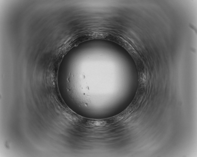 X0000096460663200802071835