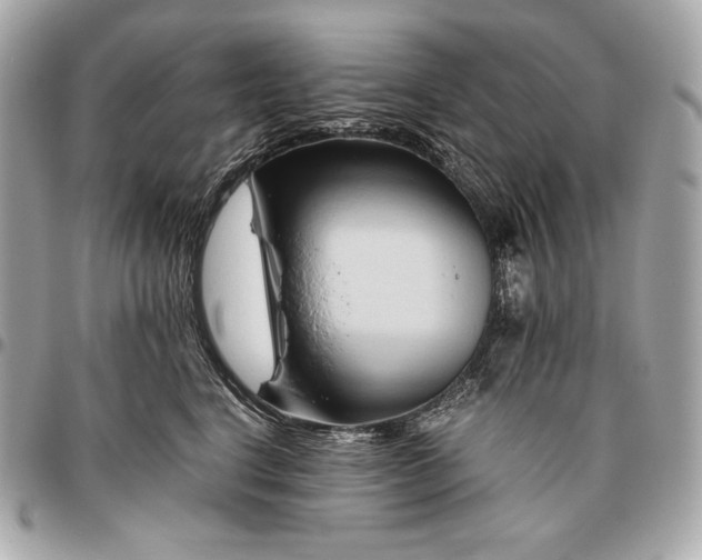 X0000096460664200802071835