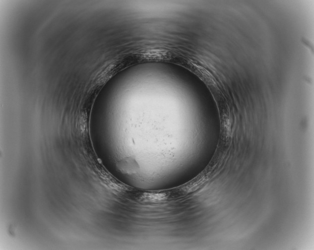 X0000096460665200802071835