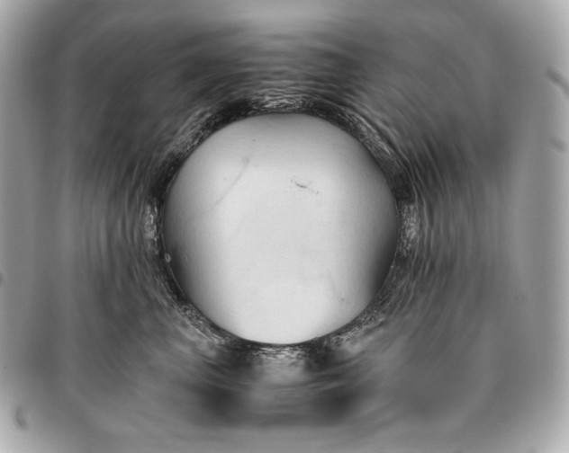 X0000096460667200802071835