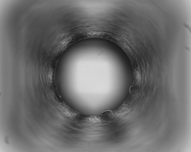 X0000096460668200802071835
