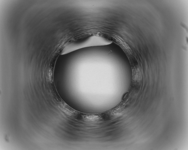 X0000096460669200802071835
