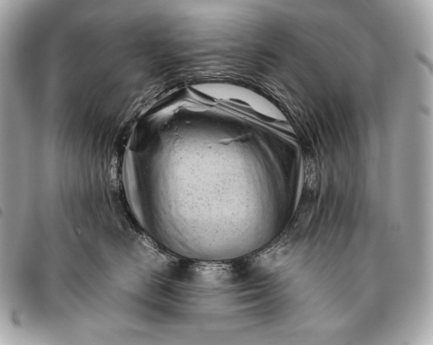 X0000096460670200802071835
