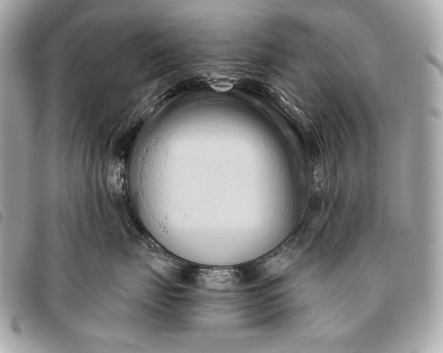 X0000096460671200802071835