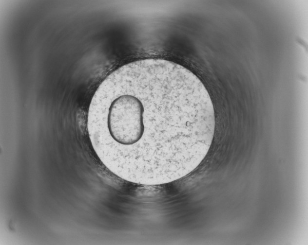 X0000096460672200802071835
