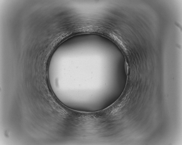 X0000096460673200802071834