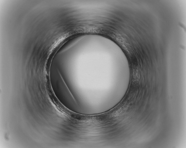 X0000096460674200802071834