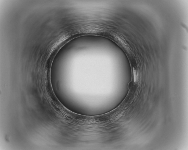X0000096460675200802071834