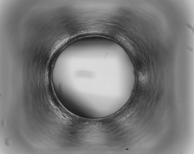 X0000096460676200802071834