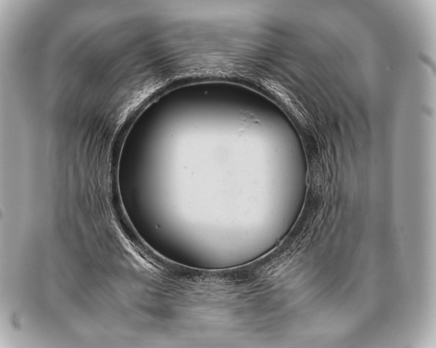 X0000096460677200802071834