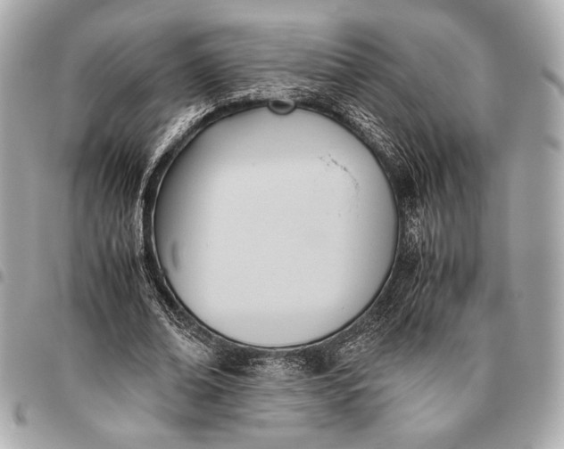 X0000096460678200802071834