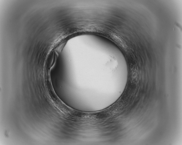 X0000096460680200802071834