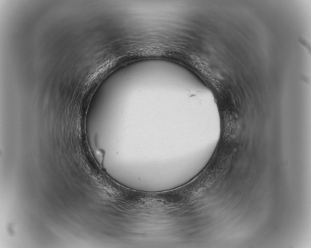 X0000096460681200802071834